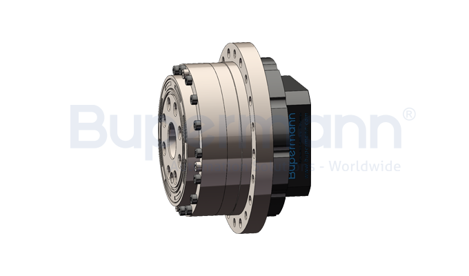 BPMCG110F high-precision micro reducer