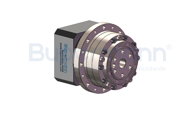 BPMCG-80F high-precision micro reducer